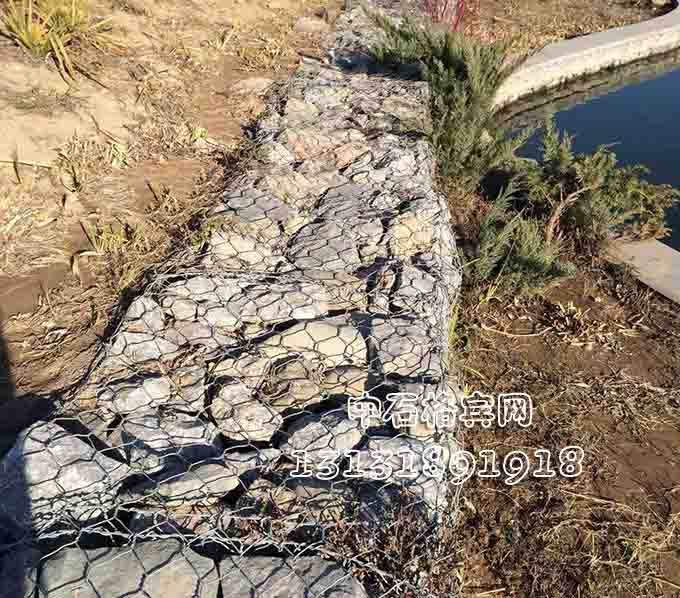 雙隔板雷諾護墊 雙隔板雷諾護墊